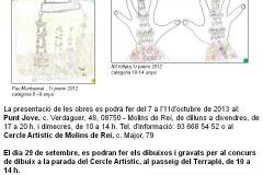 cartell-concurs-dibuix-lluis-fisas-2013-