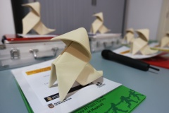 20231107191204_4P9A0588-01